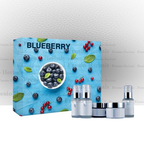 Blueberry Facial Kit