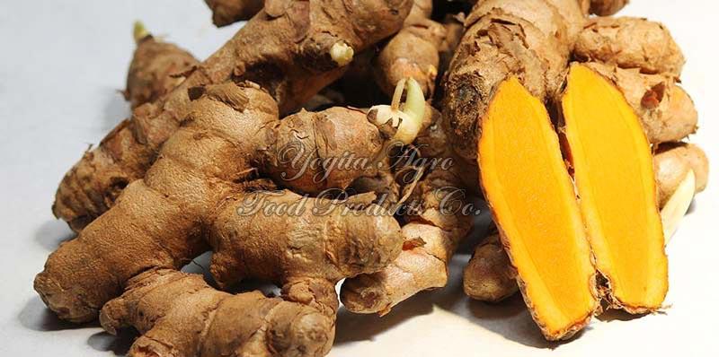 Lakadong Turmeric 01