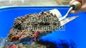 Vermicompost Manure 05