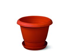 Planter Rose with Base Plate