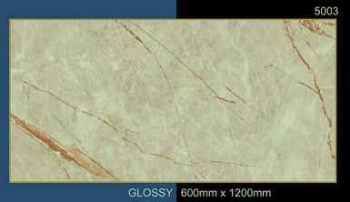 5003 PGVT Glossy Series Floor Tiles