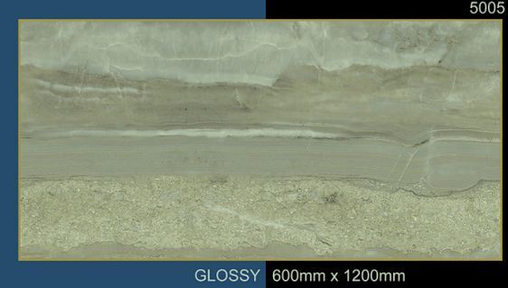 5005 PGVT Glossy Series Floor Tiles