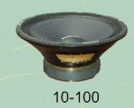 10-100 Micro Professional PA Speaker