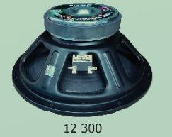 12 300 12 Inch Micro HI Power Professional DJ Speaker