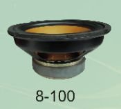 8-100 Micro Professional PA Speaker