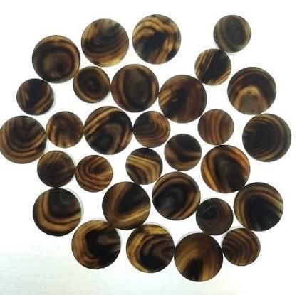 JSTCB 03 Buffalo Horn Button Blank