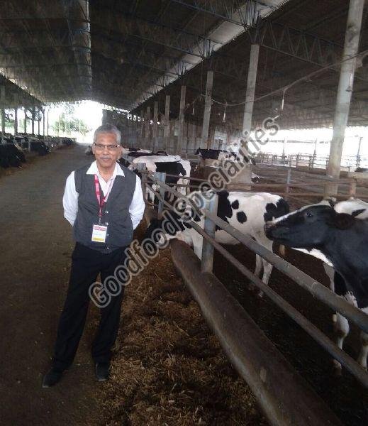 Business Consultancy Services 01