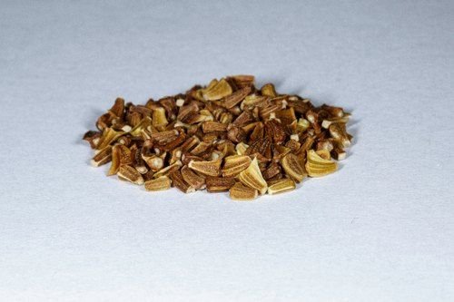 Seeds Dealers in Kandivali East, Mumbai | Coix Seed Suppliers ...