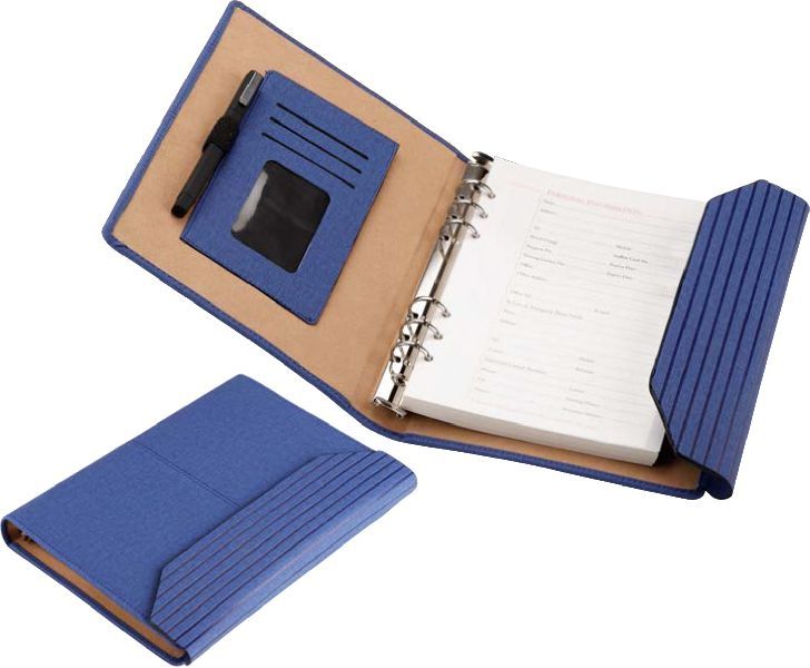 NBO-11-1 Executive Diary