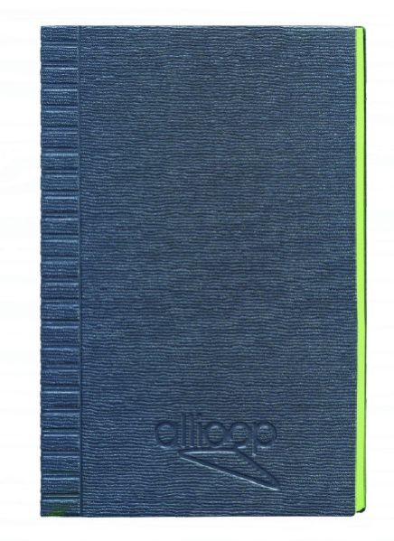 NBO-12 Executive Diary