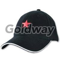 Item Code : 6 Panel G110-C