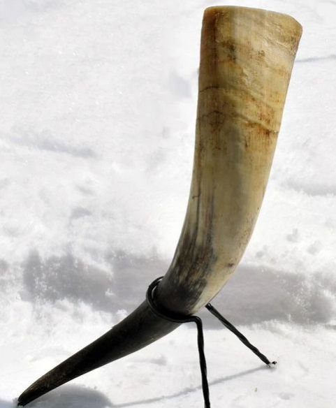 Natural Drinking Horn
