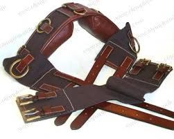 HLC-11 Horse Chaps