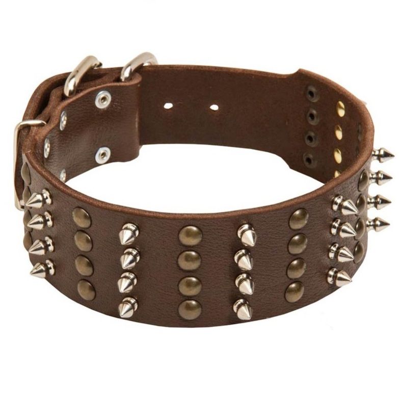 HLD-1 Dog Leather Collar