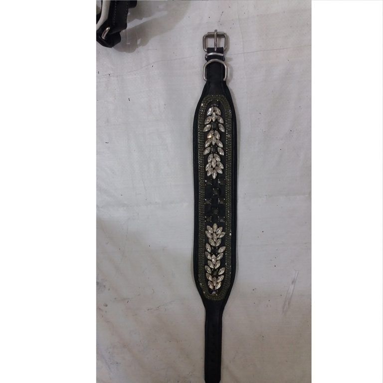 HLD-25 Dog Rotated Collar