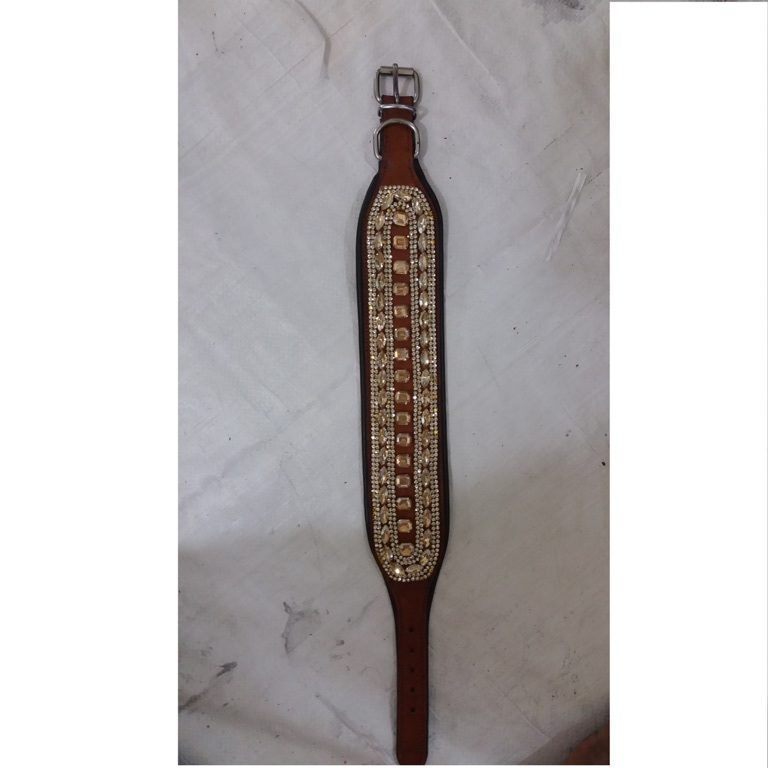 HLD-26 Dog Rotated Collar