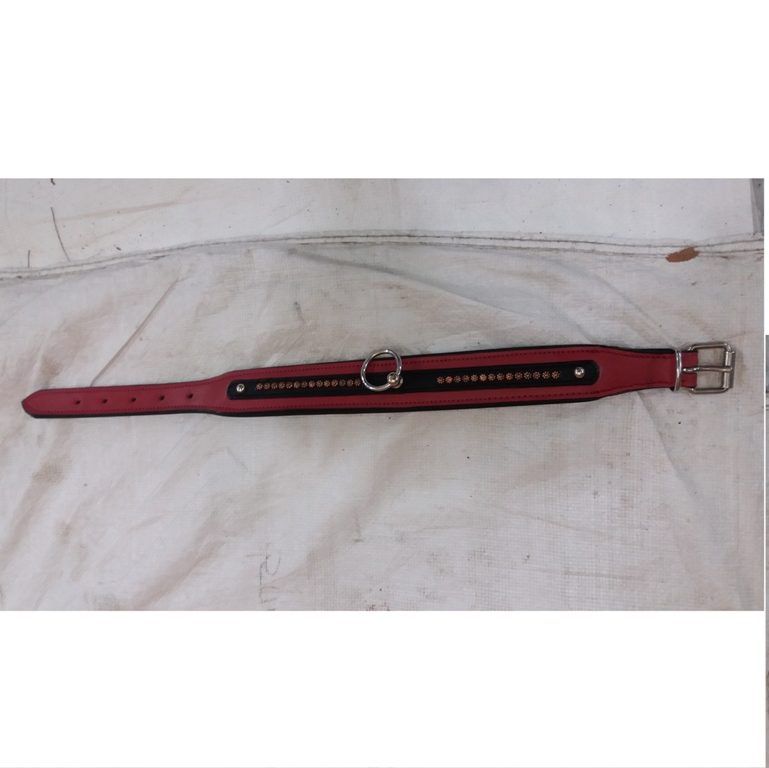 HLD-28 Dog Rotated Collar