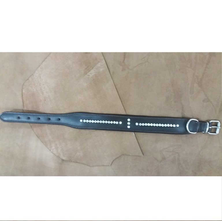 HLD-29 Dog Rotated Collar