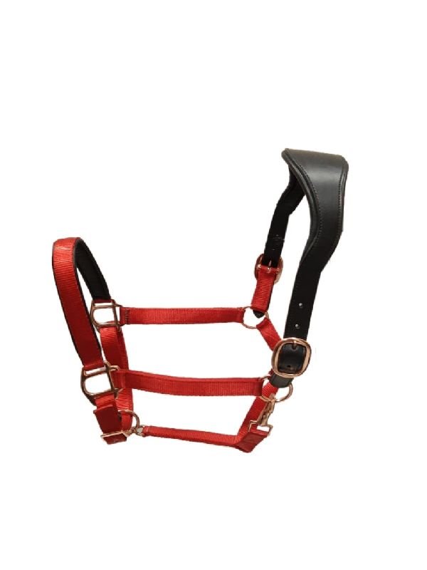 HLNH-43 Horse Halters