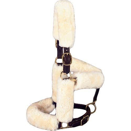 HLNH-8 Horse Halters