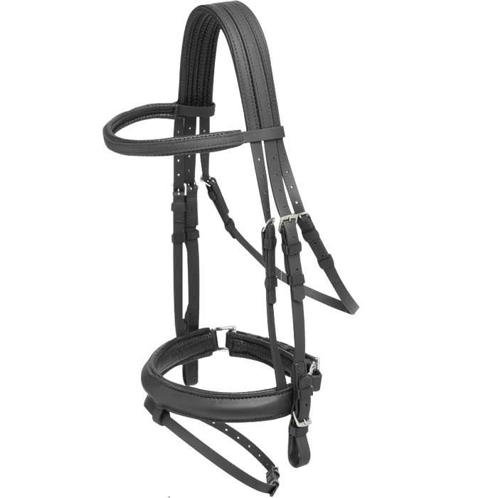 LB-22 Horse Bridle