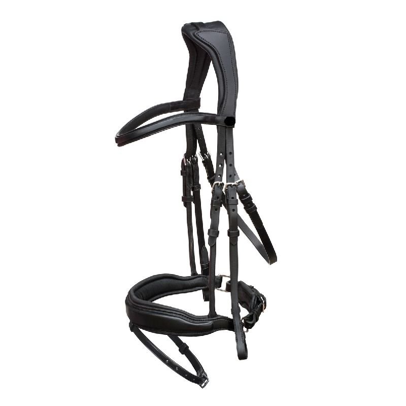 LB-42 Horse Bridle