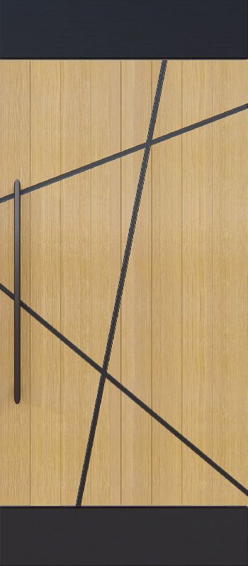 IFM - 006 Inlay Flush Door