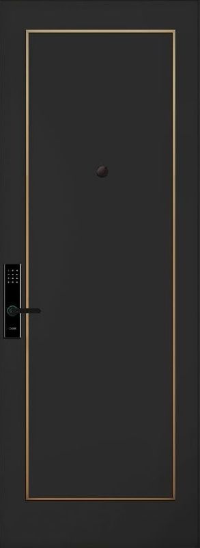 IFS - 011 Inlay Flush Door