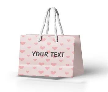 Personalized Paper Gift Bags (BBAG 002)