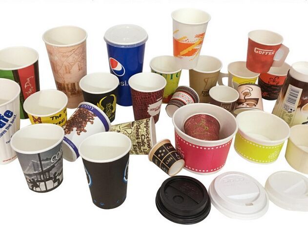 Disposable Paper Cup 02
