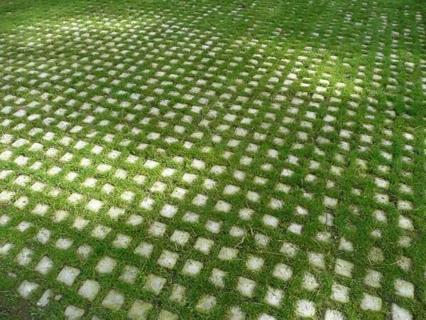 Grass Concrete Paver 02