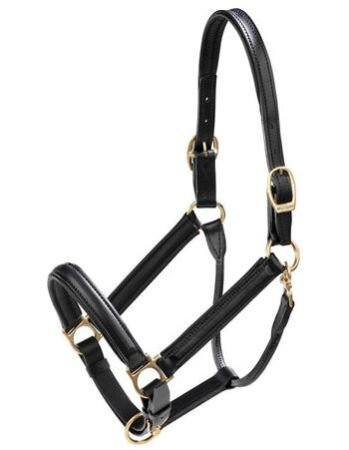 HLNH-3 Horse Halters