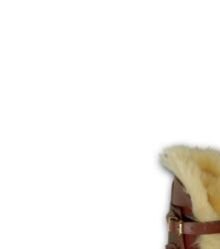 LB-04 Horse Brushing Boots