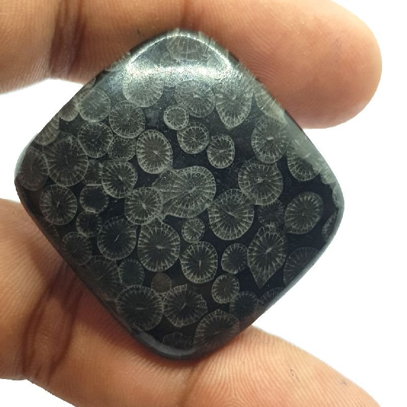 Black Fossil Coral Cushion Shape Stone