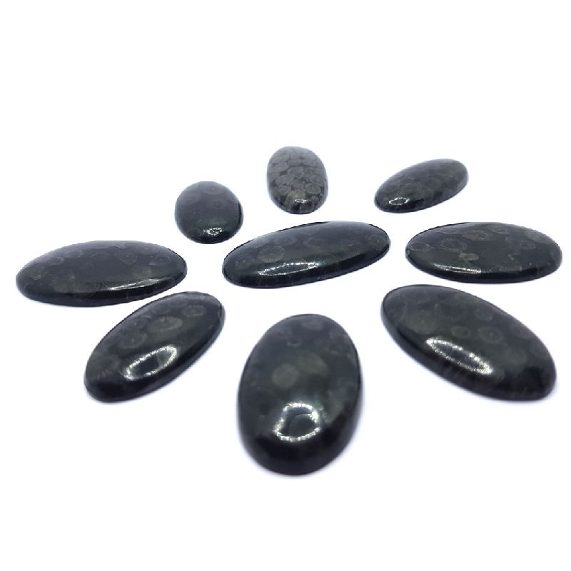Black Fossil Coral Oval Shape Stone