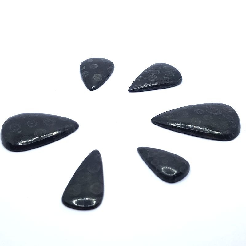 Black Fossil Coral Pear Shape Stone