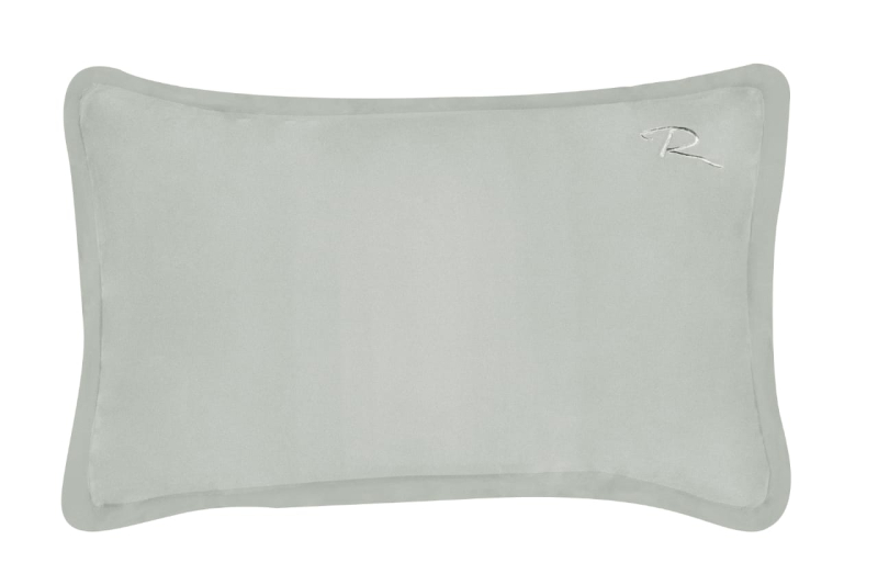 Silver Silk pillow cover