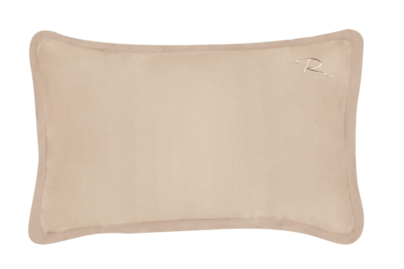 Champagne Gold Silk pillow cover