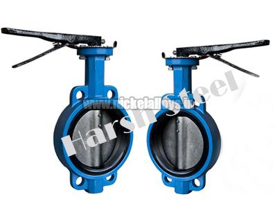 Butterfly Valve 01