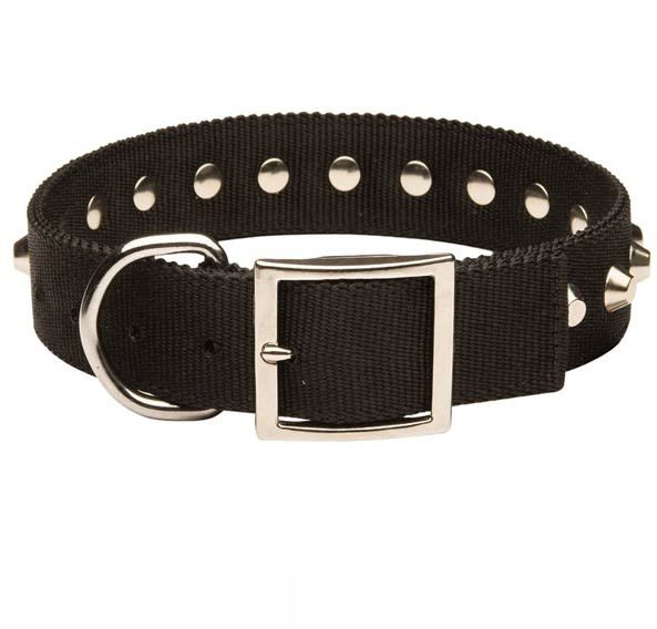 BRU-107 Leather Dog Collar