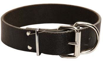 BRU-110 Leather Dog Collar
