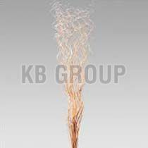 Decorative Dried Branches 03