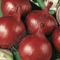 Bombay Red Onion Seeds