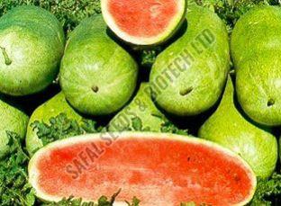 Charleston Gray Watermelon Seeds