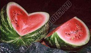 Crimson Sweet Watermelon Seeds