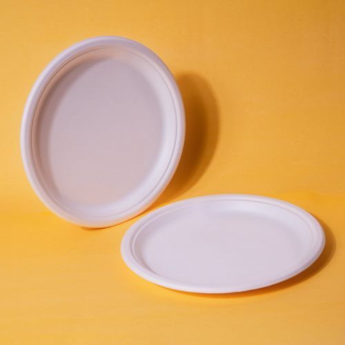 10 Inch Round Bagasse Plates (25 Pcs)