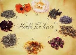 Natural Herbs for Hair
