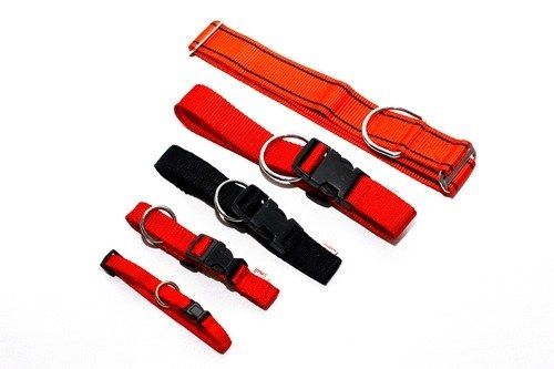 Adjustable Dog Collar 01