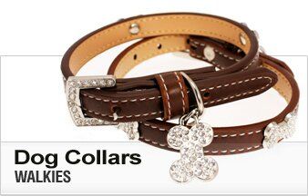Adjustable Dog Collar 02