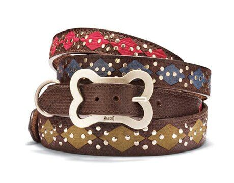 Adjustable Dog Collar 08